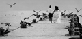 Photographe de mariage lac L�man photographe mariage international